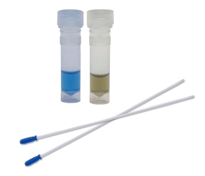 Teste de Verificação de Proteína